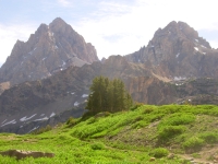 the Backview of the Tetons